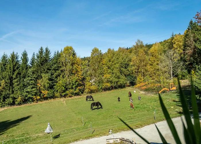 Appartement Fuchswiese *
