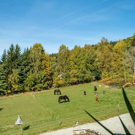 Fuchswiese Apartamento *